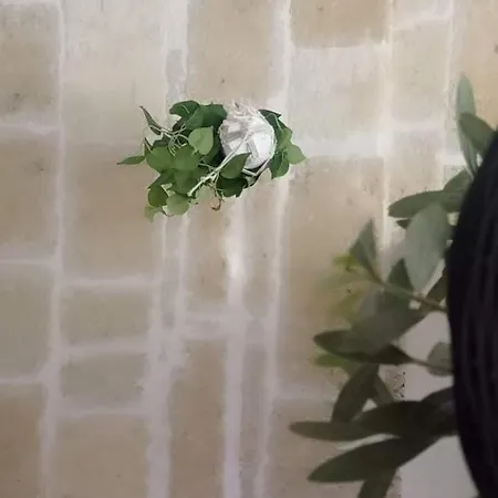 Πανσιόν Maison Rouge 3*